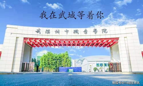 武汉商学院电子商务专业