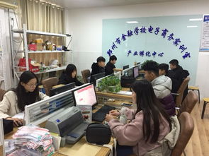 3 2大专电子商务专业